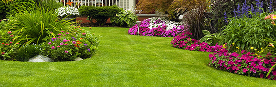 تصميم المناظر الطبيعية - Gallery